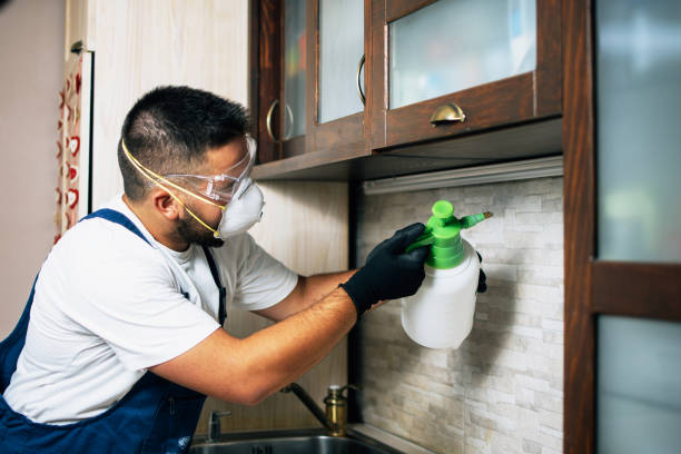 Best Best Pest Control Companies  in Oroville East, CA