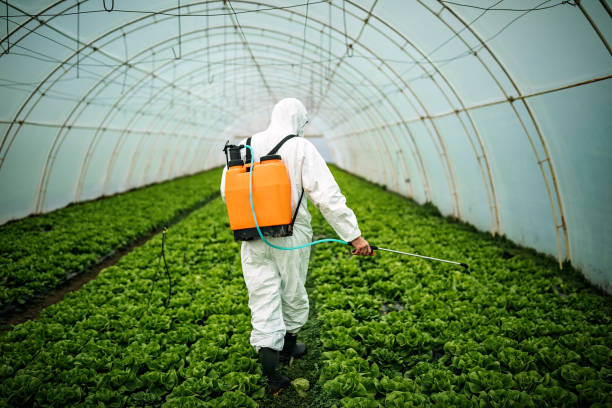 Best Pest Removal Services  in Oroville East, CA