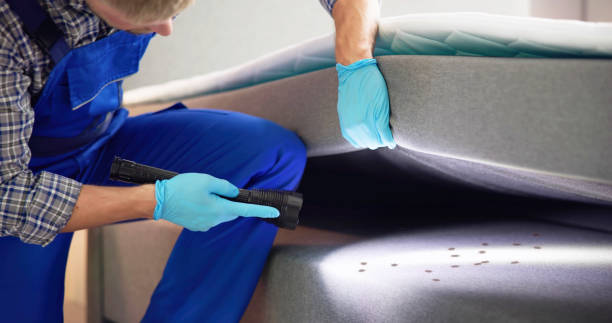 Best Mosquito Control Services  in Oroville East, CA