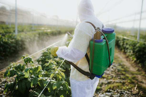 Best Pest Inspection Near Me  in Oroville East, CA